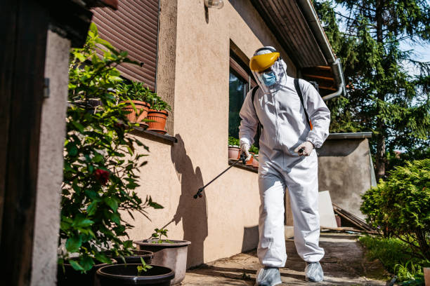 Best Mosquito Control Services  in Miller, SD