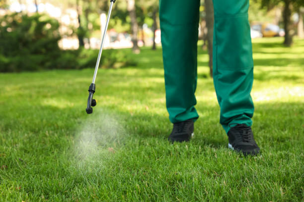Best Insect Control  in Miller, SD