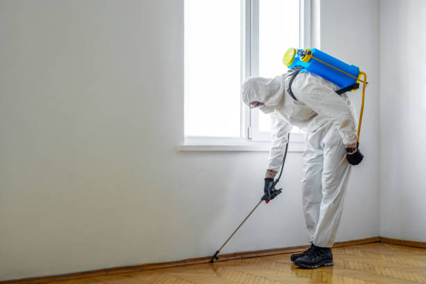 Best Pest Control Near Me in Miller, SD