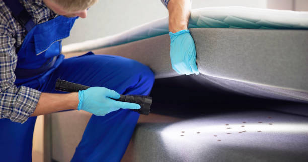 Best Residential Pest Control  in Miller, SD