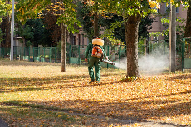 Best Commercial Pest Control Services  in Miller, SD