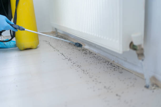 Best Pest Removal Services  in Miller, SD