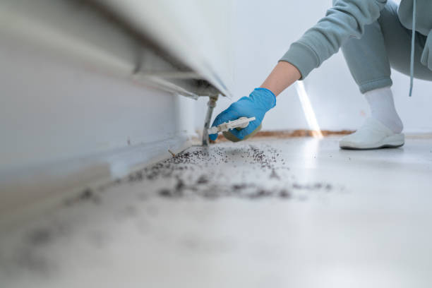 Best Best Pest Control Companies  in Miller, SD