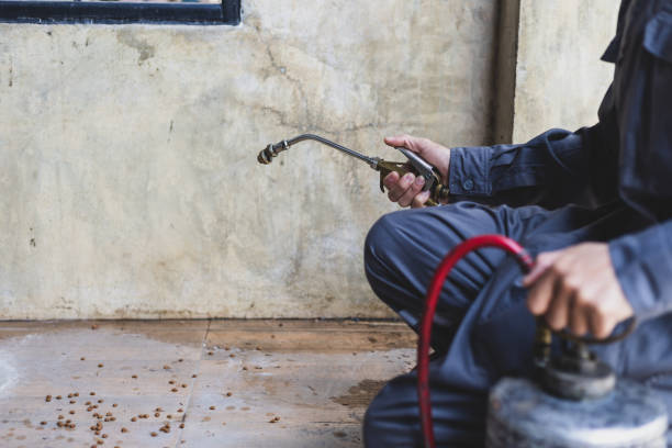Best Ant Control Services  in Miller, SD